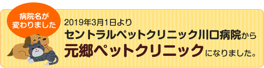 セントラルペットクリニック川口病院から元郷ペットクリニックになりました。