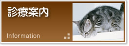 診療案内